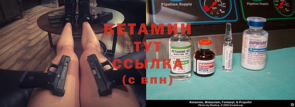 молекула духа Кулебаки