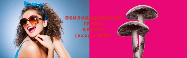 молекула духа Кулебаки