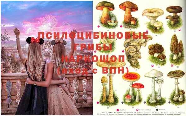 молекула духа Кулебаки