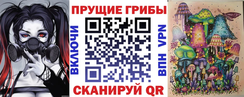 Псилоцибиновые грибы MAGIC MUSHROOMS  ОМГ ОМГ ссылки  Юхнов  закладки 
